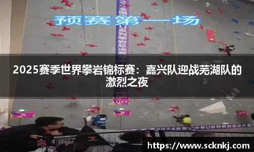 2025赛季世界攀岩锦标赛：嘉兴队迎战芜湖队的激烈之夜